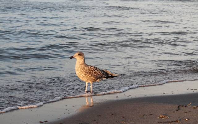 Graceful Apartment With Terrace, Garden Furniture, Parking