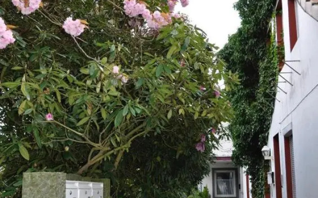 Ferienwohnung Südpark