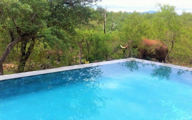 Elephant Game Lodge