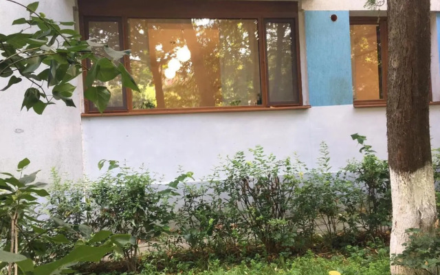 Peles Green Apartment