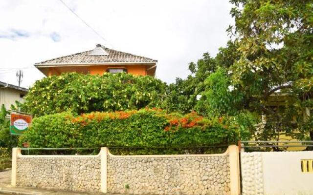 The Seaside Garden