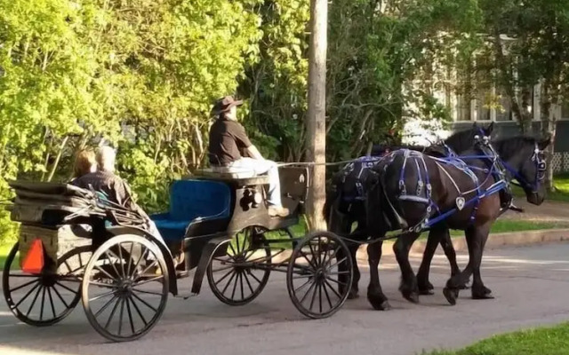 A1 Place That Feels Like Home