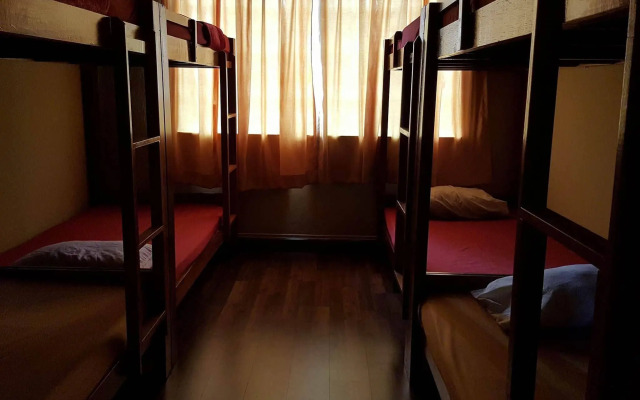 X-Plorer Backpackers - Hostel