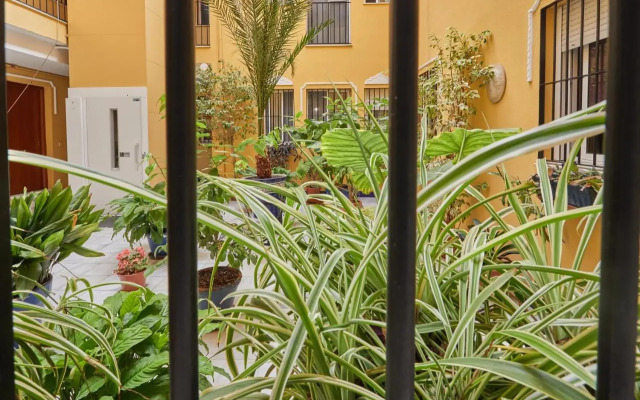 Two Bedrooms Leonor Davalos 2