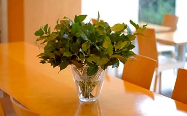 7 Days Hotel - Vacation STAY 84897