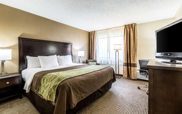 Comfort Inn Downtown