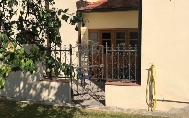 The Green Garden Apartment
