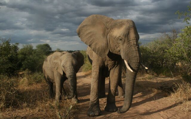 Tshukudu Game Lodge