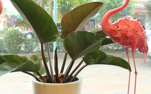 Homeinn Pebble Hotel (Jianlong Avenue)