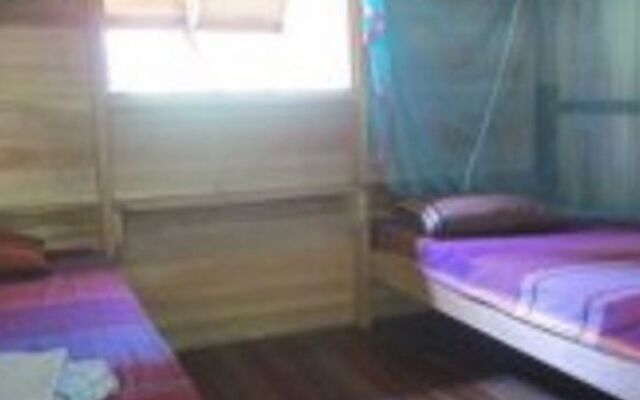 Treetops Lodge