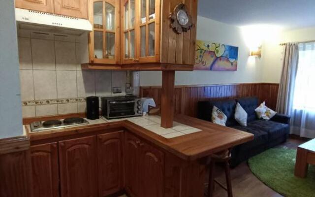 Departamento Parque Suizo Pucon