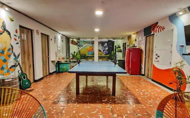 Zamia Hostel