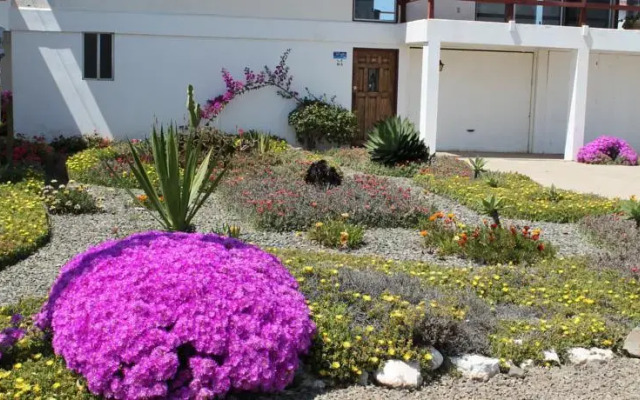Casa Delfin