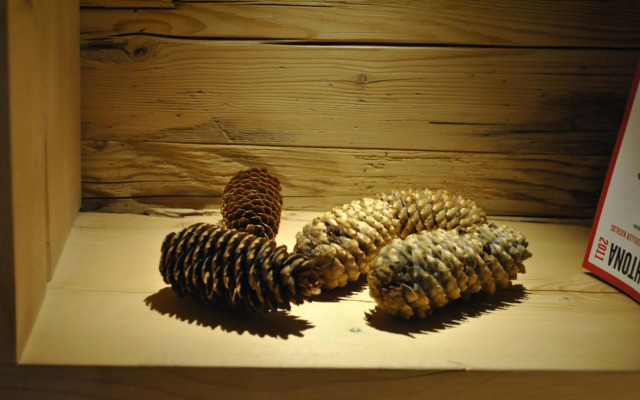 Sassdei My Active Suite Hotel