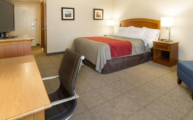 Comfort Inn & Suites Syracuse-Carrier Circle