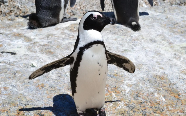 Moonglow Guest House