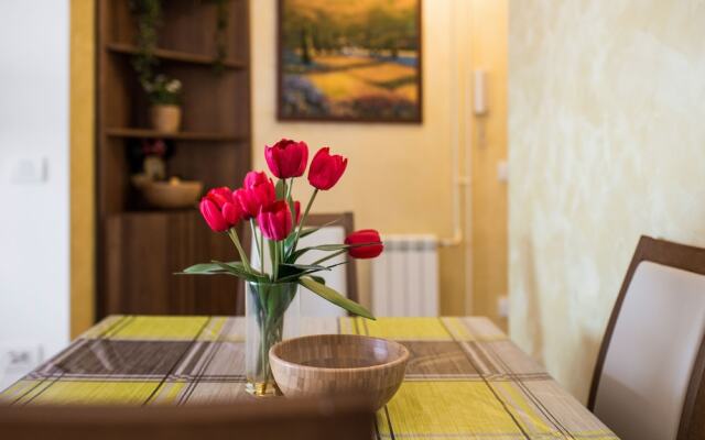 Apartment Downtown Zmaj Jovina