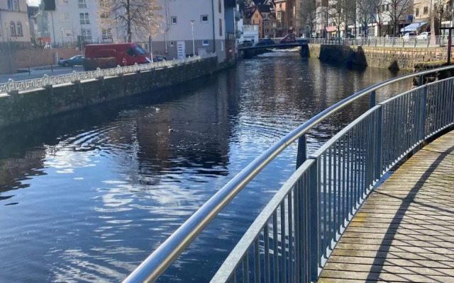 Ferienwohnung in ruhiger Waldrandlage