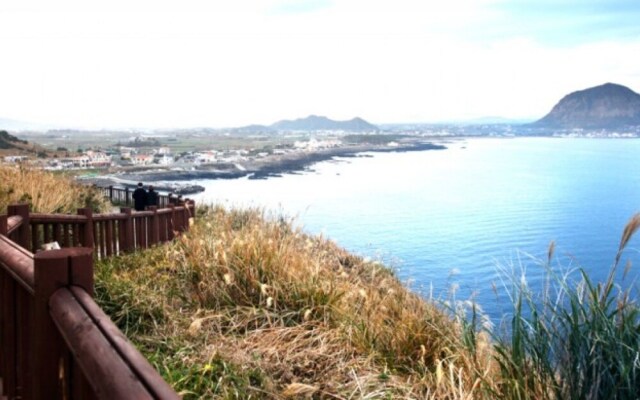 Seogwipo Hyeongjebawibada Pension