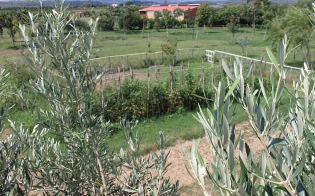 Granja Escola La Perdiu - Hostel