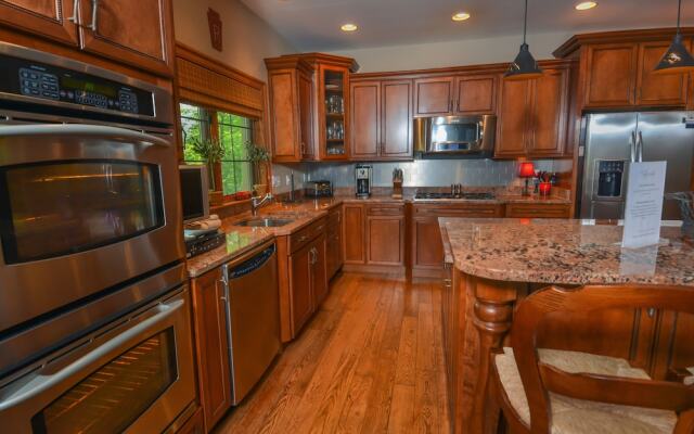 Stone Mountain Vista