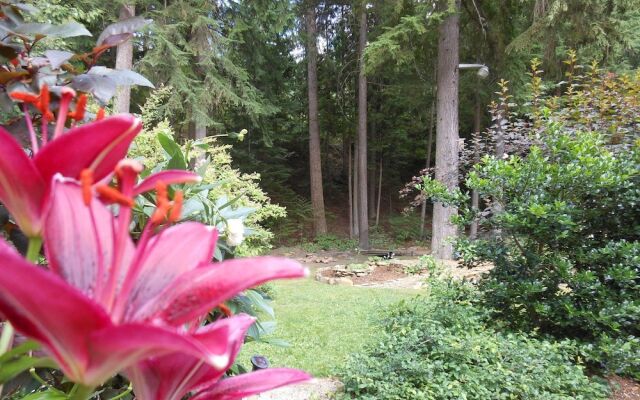 Guesthouse Mountain Escape