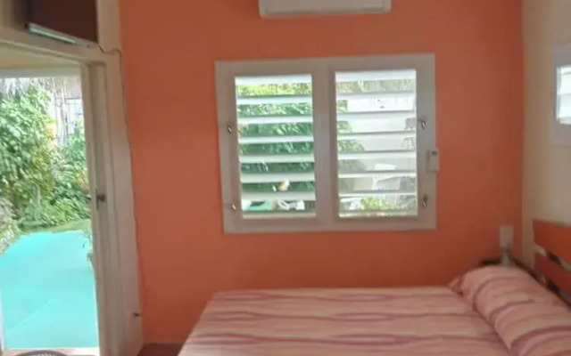The Brother's House