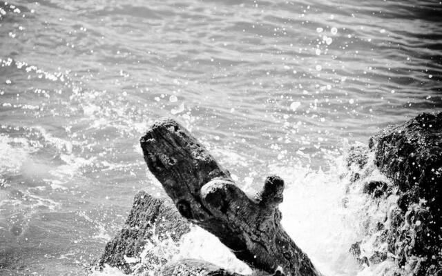 Appartement Balaruc-les-Bains, 1 pièce, 3 personnes - FR-1-503-39