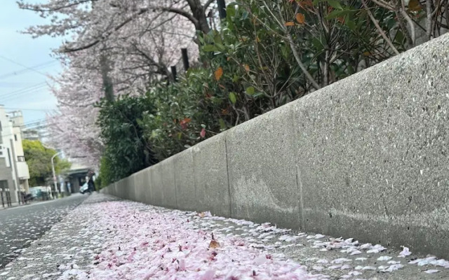 Tabi Time Kishinosato Miyama