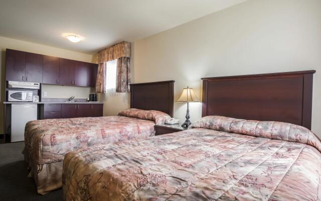 Repotel Levis