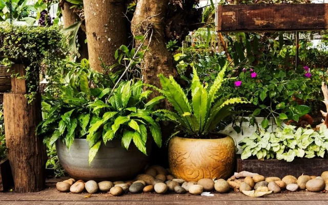 Tuskar House by the Sea