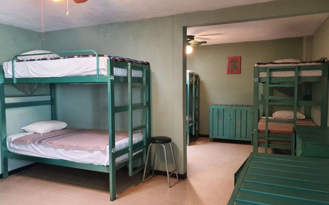 Hierba de Conejo - Hostel