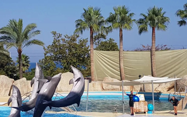 Residence Les Palmiers