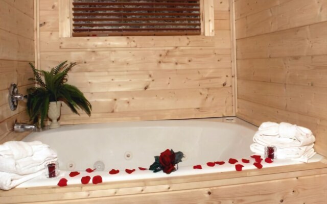 Grandpa Bear's View #233