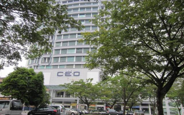 The CEO Executive Suites