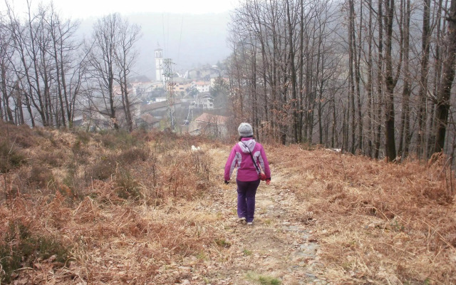 Appartamento bilocale Lucy LAGO MAGGIORE