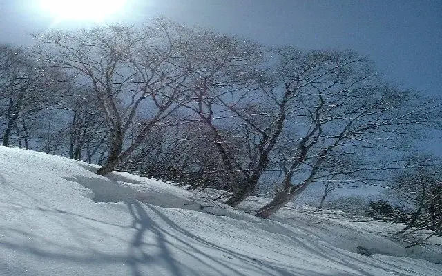 Ibex Lodge