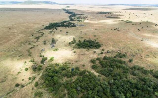 Losokwan Luxury Tented Camp - Maasai Mara