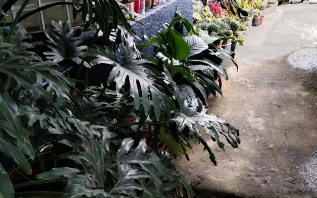 Havilah House Baguio City