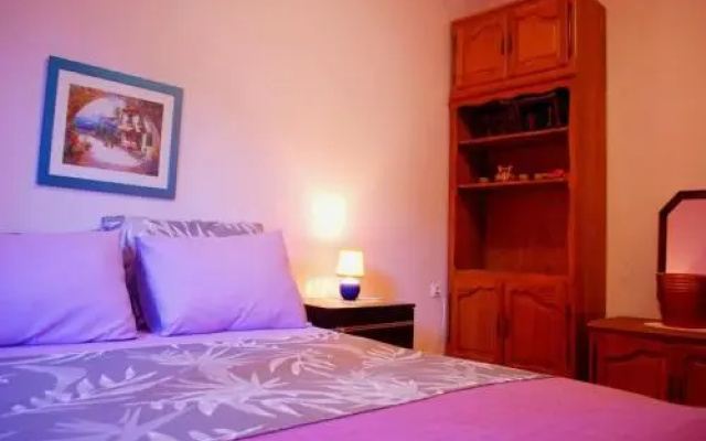 Apartments Hazi 1