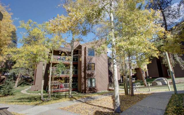 Wild Irishman 1064a by Summitcove Vacation Lodging