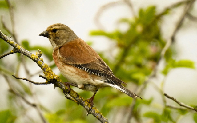 Norfolk Accommodation - mYminiBreak