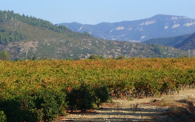 Domaine des Condamines