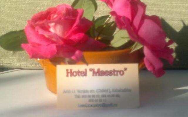 Hotel Maestro