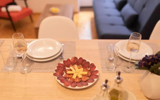 Downtown apartment Danica