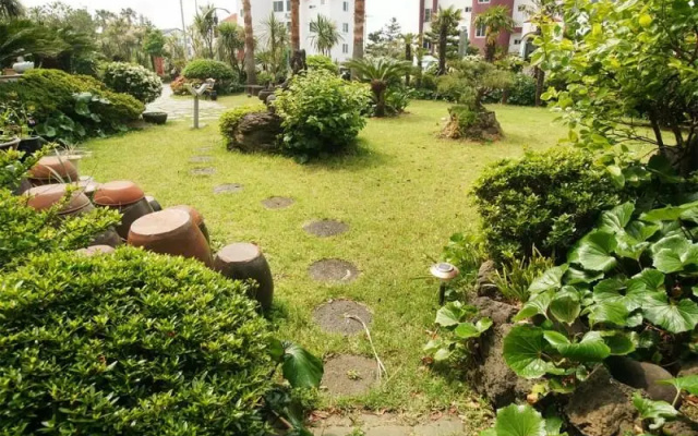 Jeju Silkroad Pension