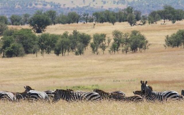 Lemala Mara Tented Camp