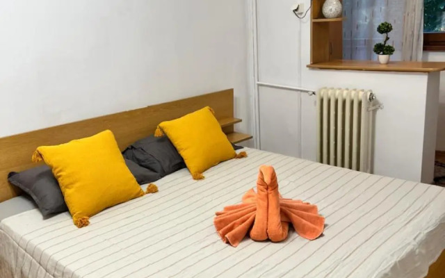Miha modern and central apartament Malul Mureșului