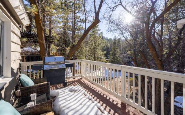 Conklin Paradise #1993 by Big Bear Vacations