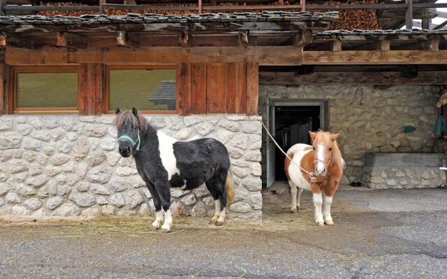 Apartment 4 Holiday - Piciulei